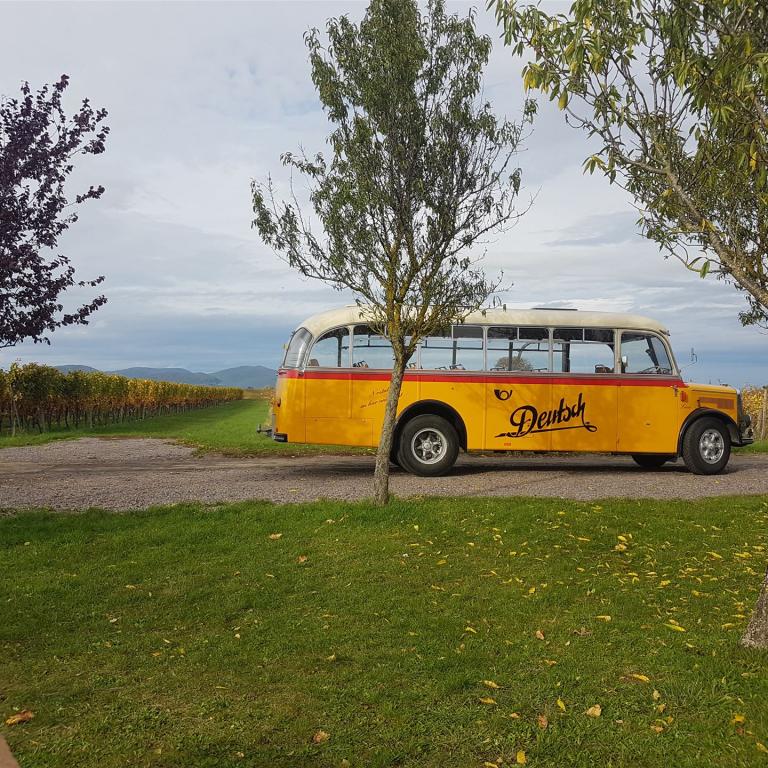 gelber Nostalgiebus Lissi