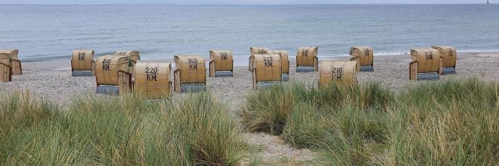 Strandkörbe am Strand mit Pflanzen