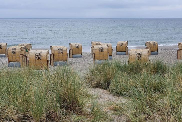 Strandkörbe am Strand mit Pflanzen