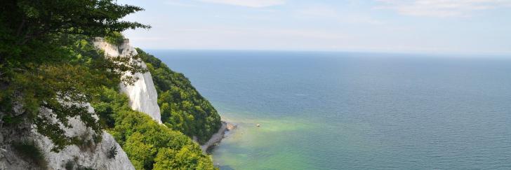 Kreidefelsen auf Rügen