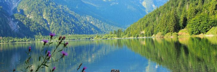 Slowenien, See mit Bergen und Blume im Vordergrund