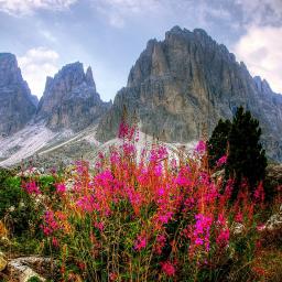 Doppelzimmer für 2 Personen - Südtirol 19.05. - 23.05.27, Bu.Nr. 456