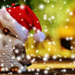 Tagesfahrt nach Rüdesheim, 28.11.26, Bu.Nr. 423