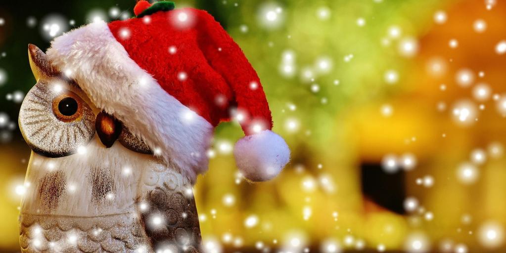 Eule mit einer Nikolausmütze 