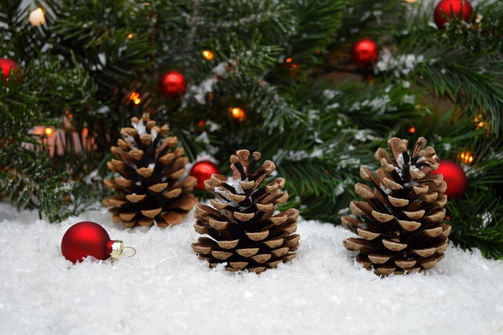 rote Kugeln, Tannenzapfen im Schnee